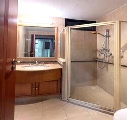 The Sterling (D21), Condominium #453480611